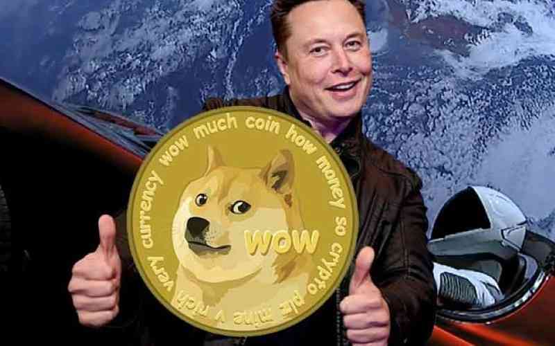 Is Dogecoin Betting Worth the Risk in Nigeria? Here’s What You Need to Know