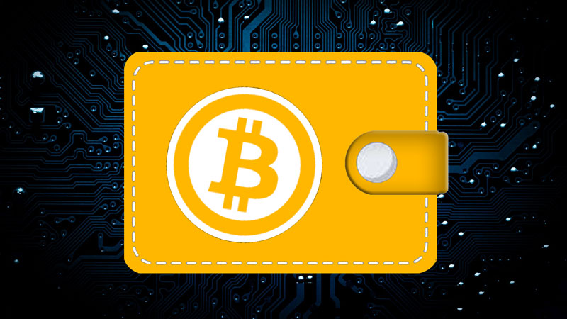 Cryptocurrency Wallets for Nigerians: Which One Should You Choose?
