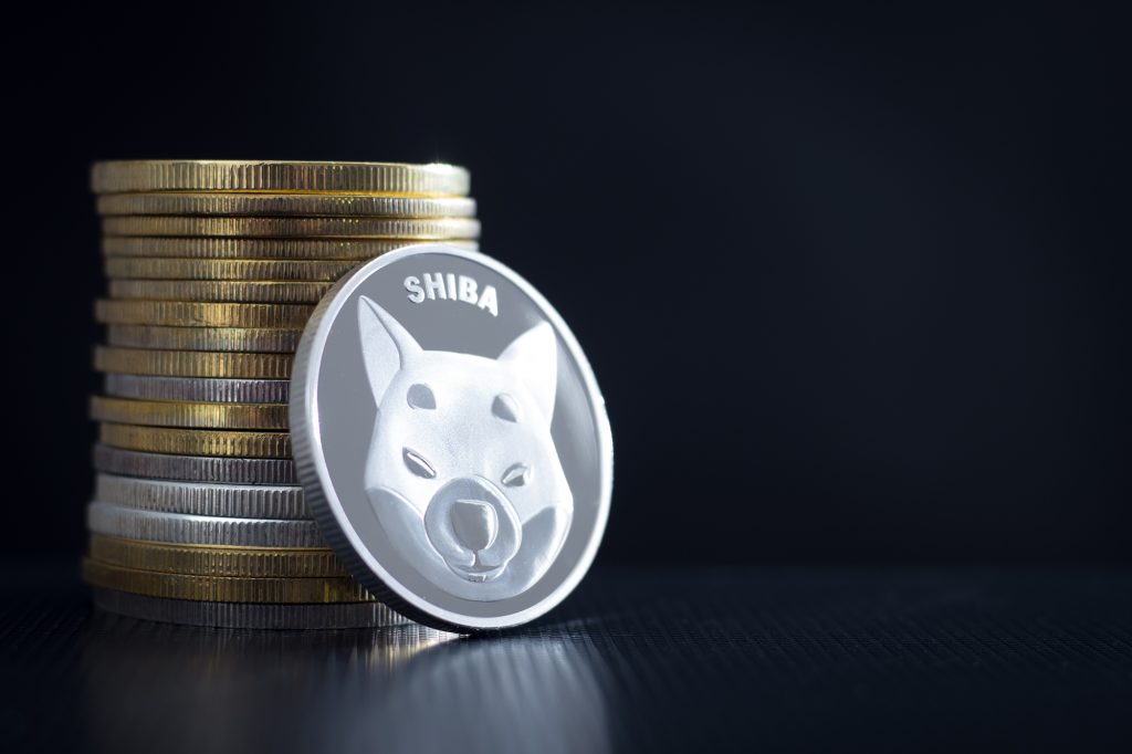 Shiba Inu Betting: Can the ‘Dogecoin Killer’ Live Up to Its Hype?